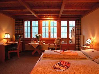 알펜호프 3* 그린델발트