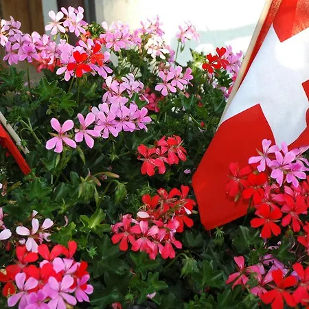 알펜호프 호텔 3*