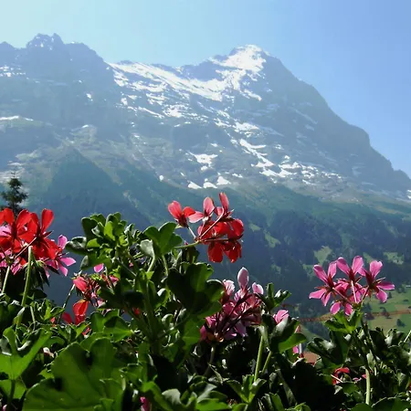 Alpenhof Hotel 3*