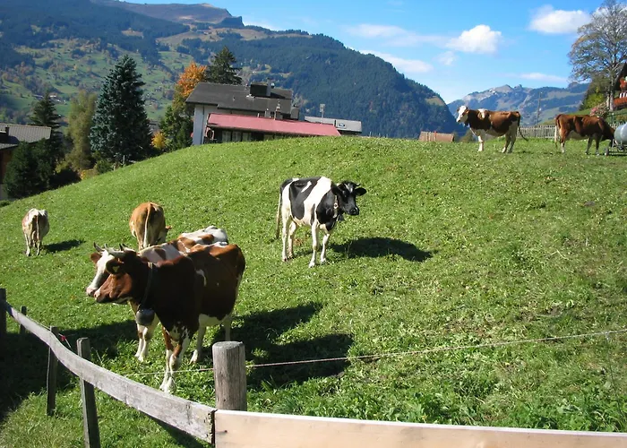 Hotel Alpenhof Grindelwald