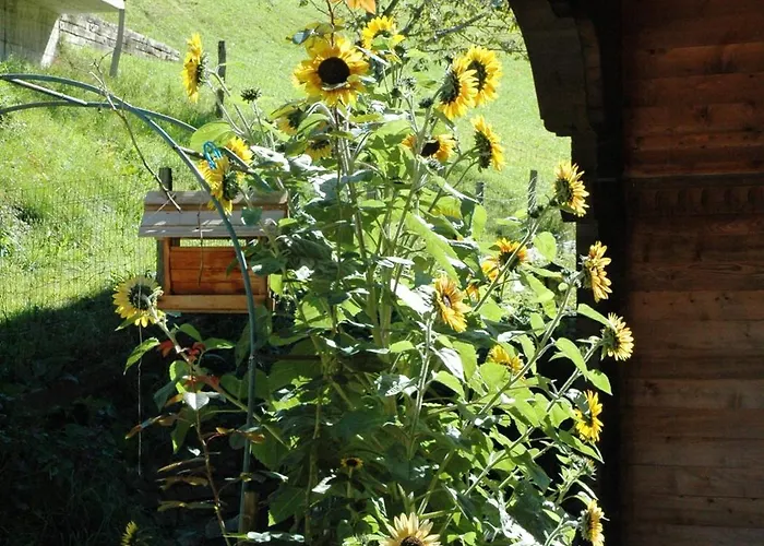 Alpenhof