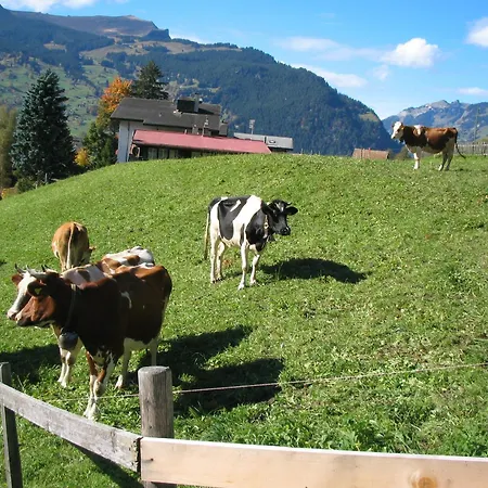Szálloda Alpenhof Grindelwald