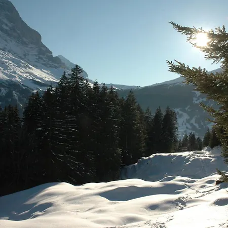 Szálloda Alpenhof Grindelwald