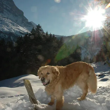 Szálloda Alpenhof 3*