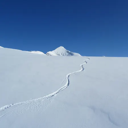 Alpenhof Szálloda Grindelwald