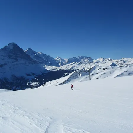 Alpenhof 3* Grindelwald