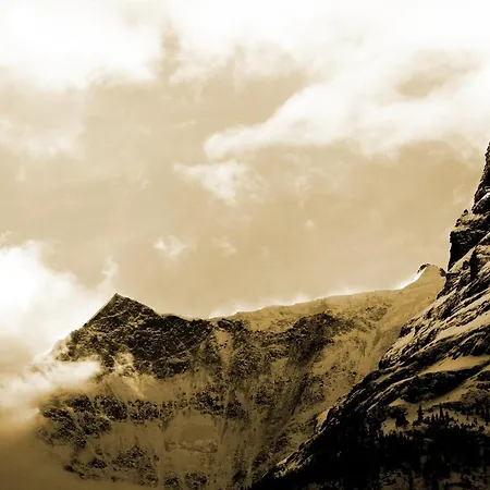 Hotel Alpenhof Grindelwald