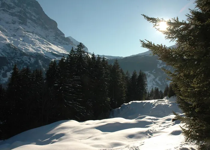 Szálloda Alpenhof Grindelwald