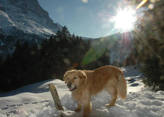 Szálloda Alpenhof 3*
