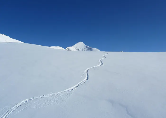 Alpenhof Szálloda Grindelwald
